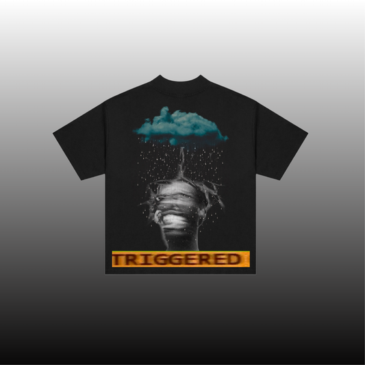 "SToRM"