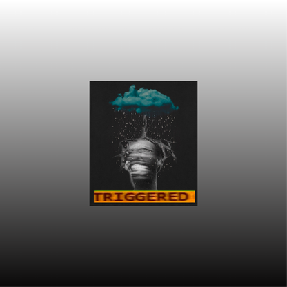 "SToRM"